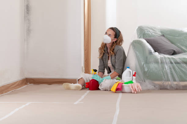 Reliable Mold Remediation contractor in Vaughn, WA by 24 Hour Mold Removal