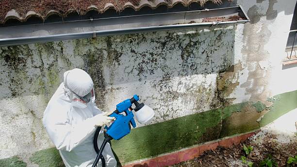 Top rated local Mold Remediation specialists in Vaughn, WA
